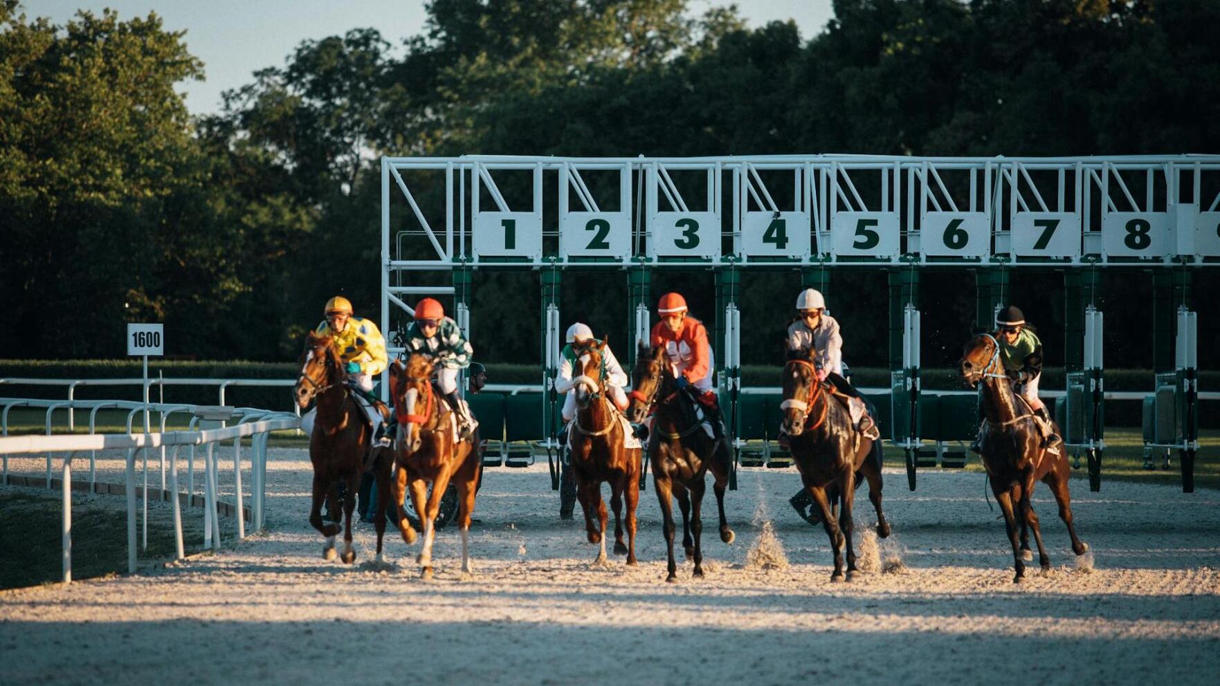 Countdown to Derby Day Your Complete Preparation Checklist